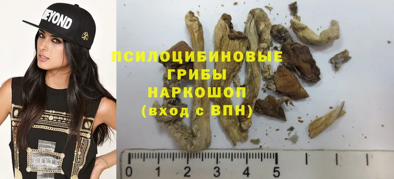 OMG как зайти  Симферополь  Псилоцибиновые грибы Psilocybine cubensis 